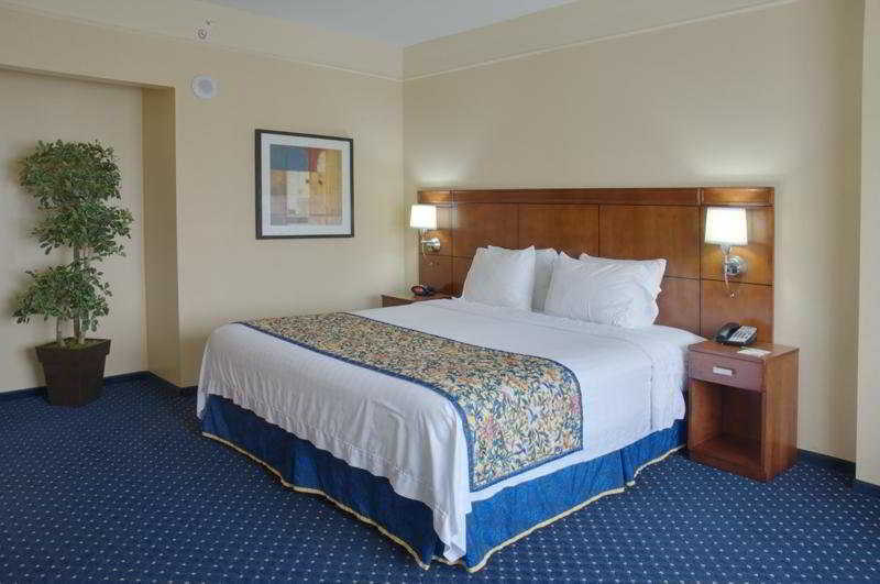 Courtyard By Marriott Houston Galleria Δωμάτιο φωτογραφία